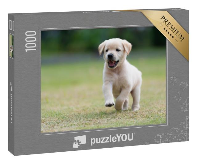 Puzzle 1000 Teile „Spielender Hundewelpe“