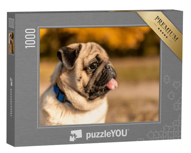 Puzzel 1000 stukjes „Zijportret van een mopshond“