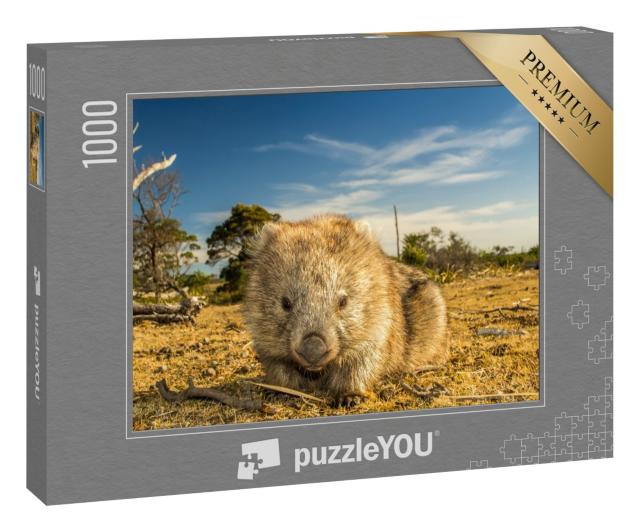 Puzzle 1000 Teile „Nahaufnahme eines Wombats, der in Tasmanien heimisch ist“
