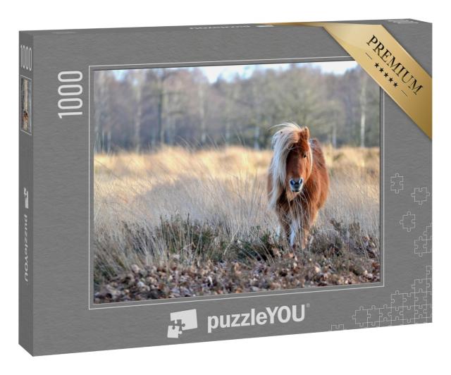 Puzzle 1000 Teile „Wunderschönes Pony“