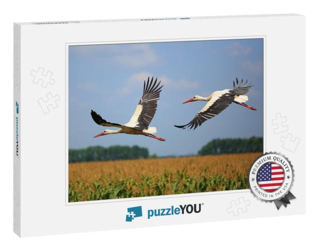 Two Storks Fly Over a Field... Jigsaw Puzzle