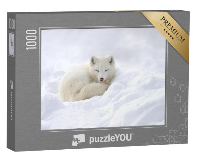 Puzzel 1000 stukjes „Poolvos geknuffeld in de sneeuw“