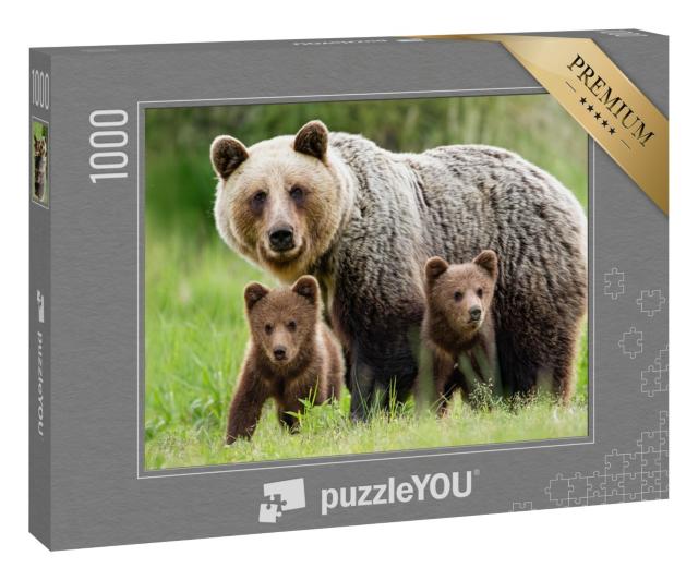 Puzzle 1000 Teile „Beschützendes Braunbärenweibchen: Tierfamilie mit zwei Jungen“