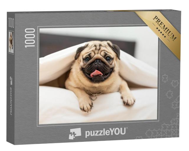 Puzzel 1000 stukjes „Mopshond onder een knus wit dekentje“