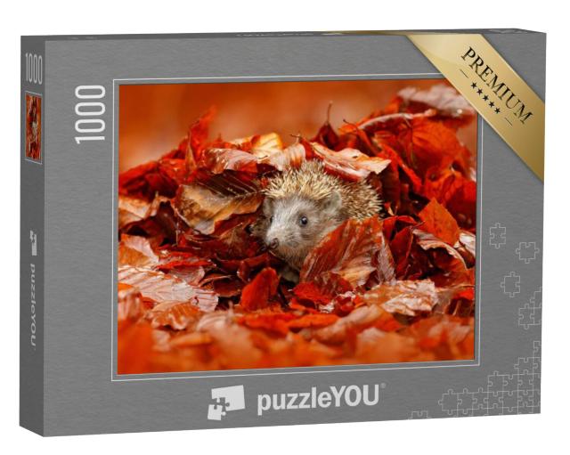 Puzzel 1000 stukjes „Kleine egel verstopt zich in de kleurrijke herfstbladeren“