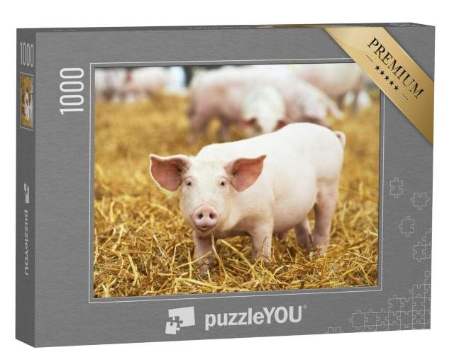 Puzzel 1000 stukjes „Biggen op hooi en stro“