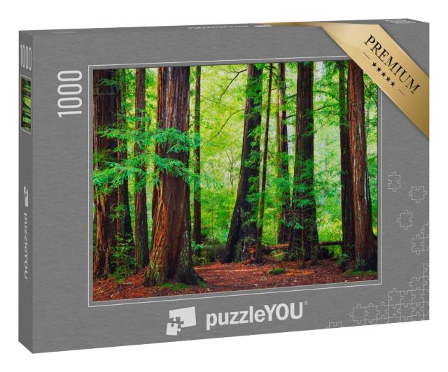 Puzzle 1000 Teile „Redwood-Bäume, Nordwest-Regenwald“