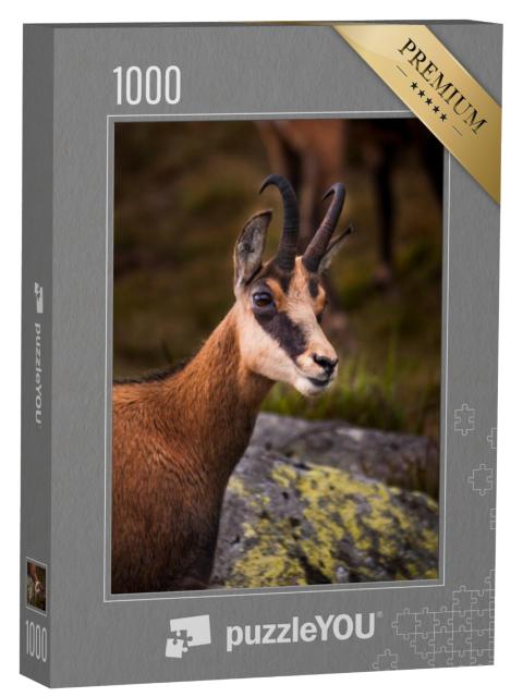 Puzzel 1000 stukjes „Portret van een gems in de natuur“