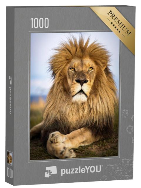 Puzzel 1000 stukjes „Wilde leeuwen in Zuid-Afrika“