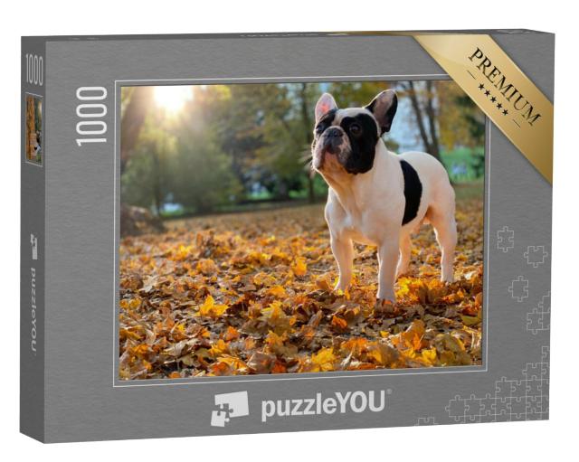 Puzzel 1000 stukjes „Een Franse Bulldog zit“