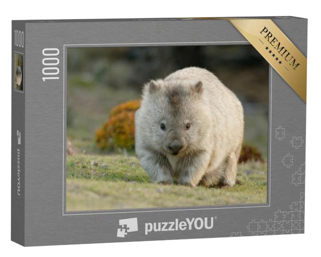 Puzzel 1000 stukjes „Australische wombat, ook bekend als de ruwharige of naaktneusbeer“