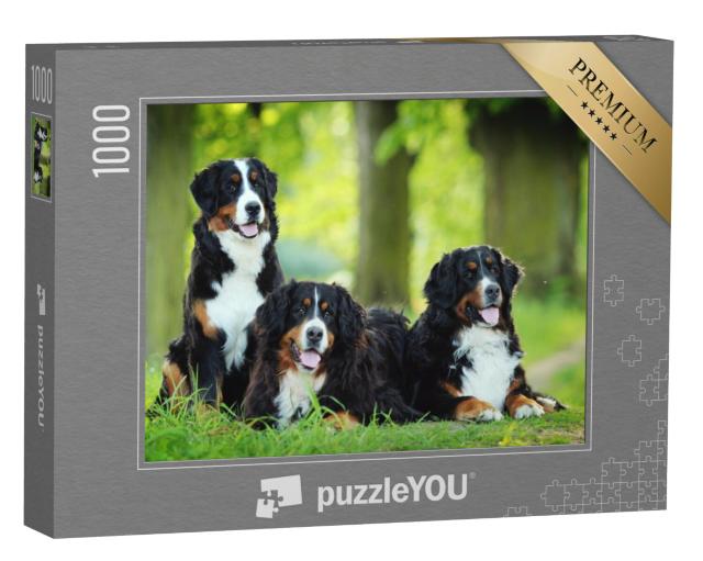 Puzzel 1000 stukjes „Een Berner Sennenhond“