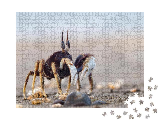 Puzzle 1000 Teile „Neugierige Krabbe am Sandstrand“