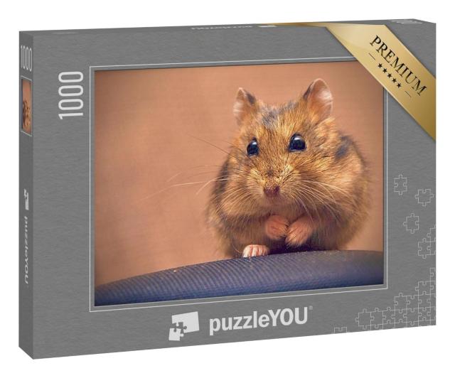 Puzzle 1000 Teile „Süßer brauner Hamster“