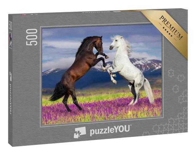 Puzzle 500 Teile „Wilde Schönheit: Zwei tanzende Pferde“