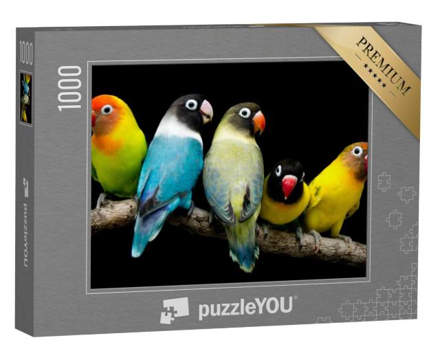 Puzzel 1000 stukjes „Papegaai met prachtige kleuren“