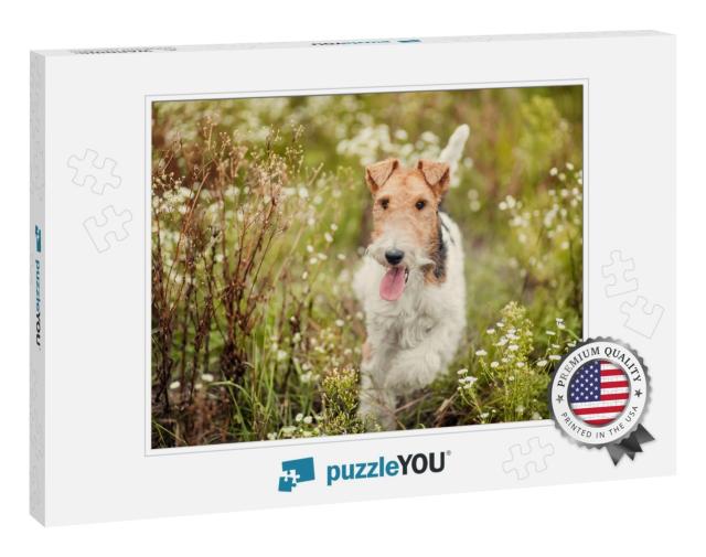 Close Up Shot of a Happy Cute Fox Terrier Dog in the Park... Jigsaw Puzzle