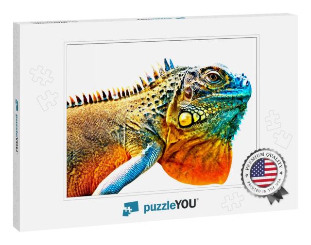 Colorful Iguana in Detail Isolated on White Background... Jigsaw Puzzle