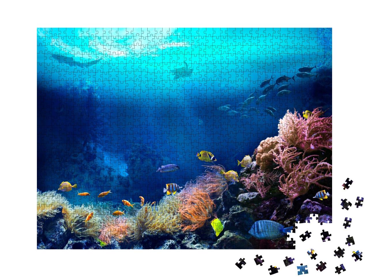 Puzzle 1000 Teile „Unterwasseransicht eines tropischen Korallenriffs“
