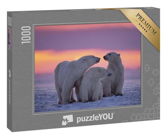Puzzle 100 Teile „Eisbärenfamilie im Sonnenuntergang in der kanadischen Arktis.“