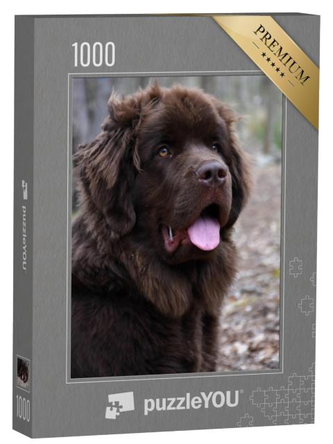 Puzzel 1000 stukjes „Bruin Newfoundland teefje“