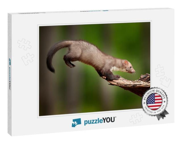 Jump in the Nature. Jumping Beech Marten, Small Opportuni... Jigsaw Puzzle
