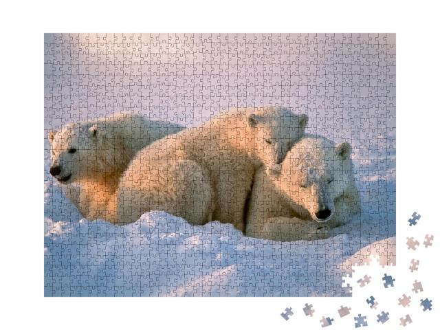 Puzzle 1000 Teile „Eisbärin mit ihren Jungen“