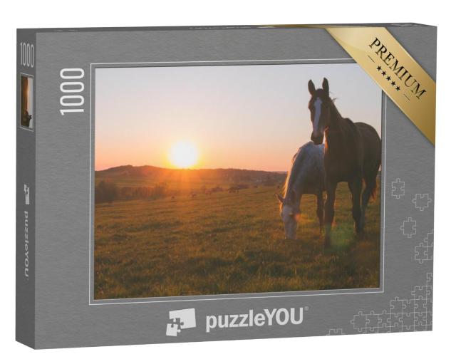 Puzzel 1000 stukjes „Twee paarden in de zonsondergang“