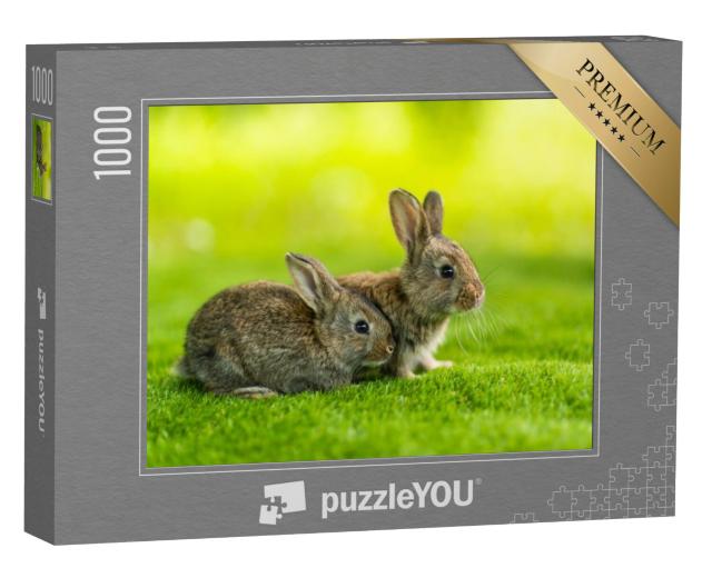 Puzzel 1000 stukjes „Twee konijntjes in de wei“