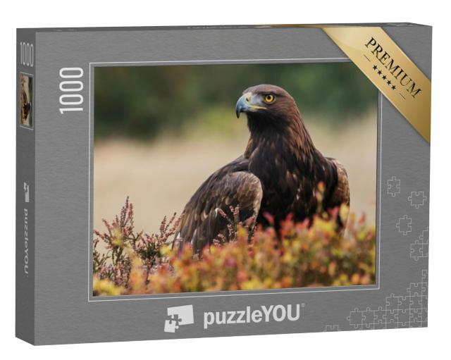 Puzzel 1000 stukjes „Een steenarend kijkt rond“