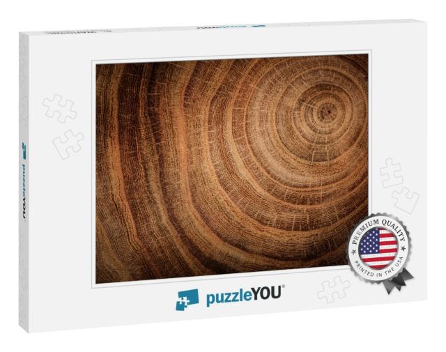 Stump of Oak Tree Felled - Section of the Trunk with Annu... Jigsaw Puzzle