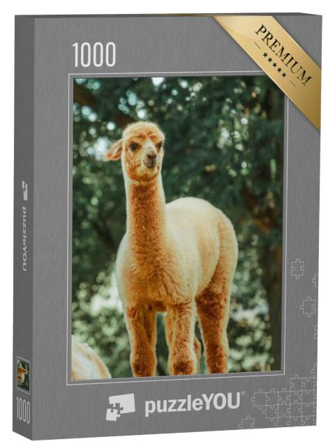 Puzzel 1000 stukjes „De lama, een tam zoogdier dat wijdverspreid is in Zuid-Amerika“