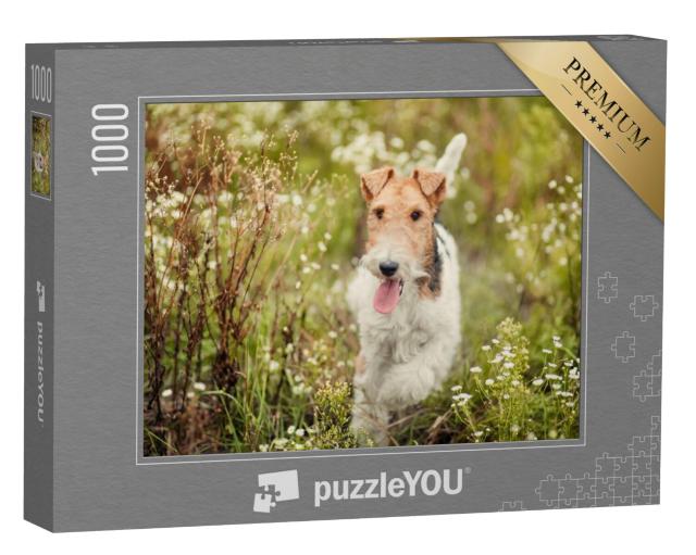 Puzzel 1000 stukjes „Fox Terrier in de natuur“