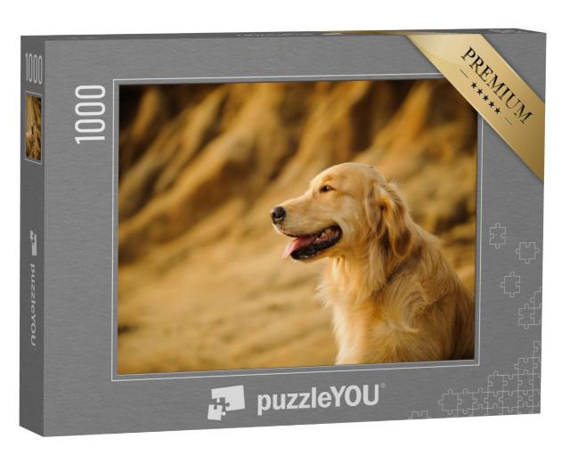 Puzzel 1000 stukjes „Golden Retriever“