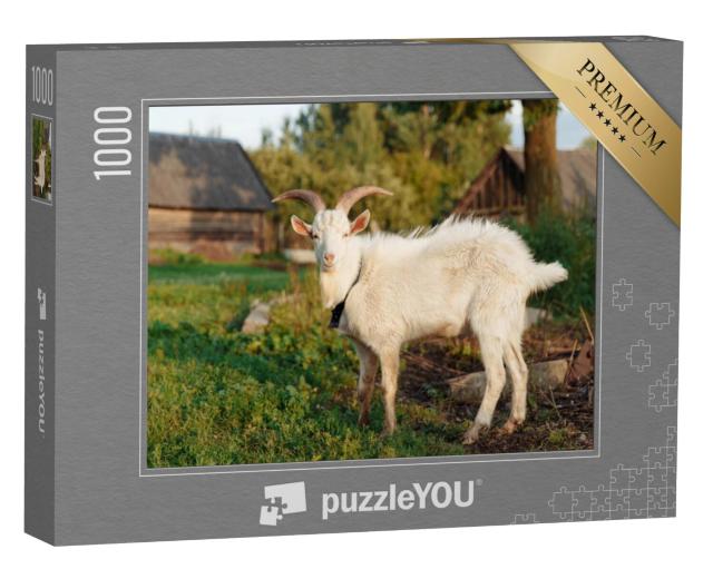 Puzzel 1000 stukjes „Witte geit op de boerderij in de zomer“