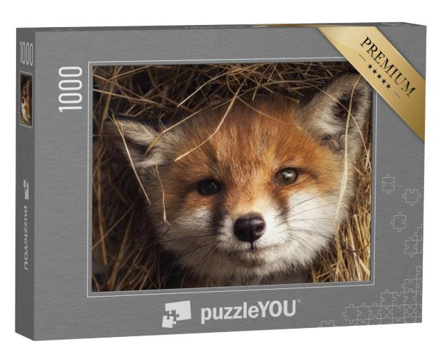 Puzzel 1000 stukjes „Vossenwelp in het hooi“