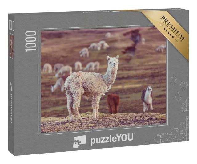 Puzzle „Ein Peruanisches Alpaka, Anden“