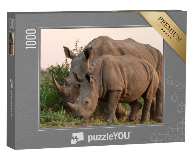 Puzzel 1000 stukjes „Witte neushoorn en jong in Namibië“