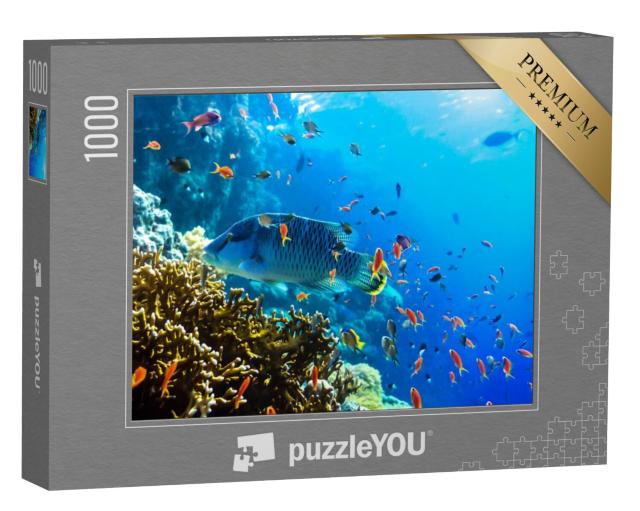 Puzzel 1000 stukjes „Diverse kleurrijke onderwatervissen“