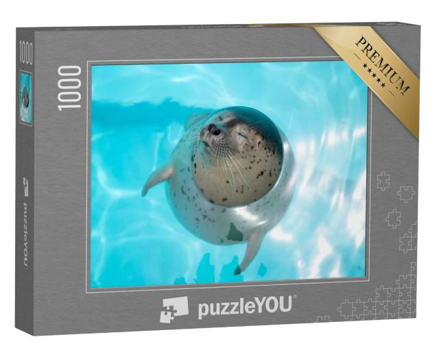 Puzzel 1000 stukjes „Babyzeehond, ontspannen in het water“