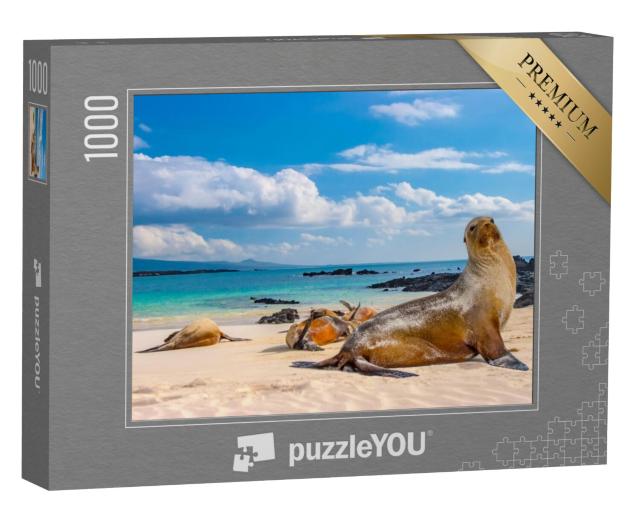 Puzzel 1000 stukjes „Zeehonden op het strand van de Galapagoseilanden, Ecuador“