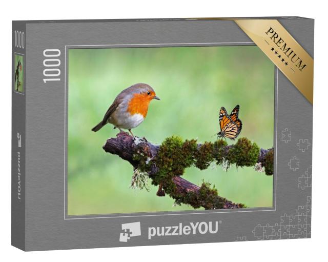 Puzzel 1000 stukjes „Roodborstje en vlinder“