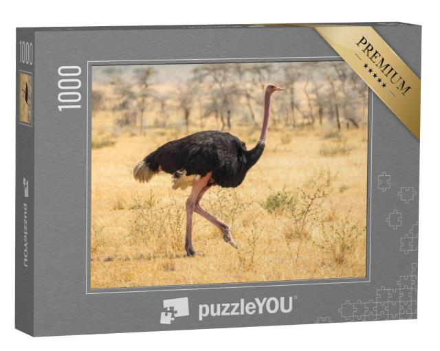 Puzzel 1000 stukjes „Struisvogelmigratie in de Afrikaanse steppe“