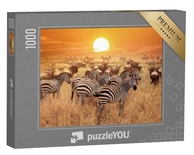 Puzzel 1000 stukjes „Zebra bij zonsondergang in Serengeti Nationaal Park, Afrika, Tanzania“