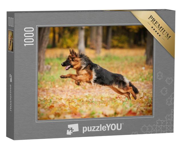 Puzzel 1000 stukjes „Duitse herdershond spelend in de herfst“