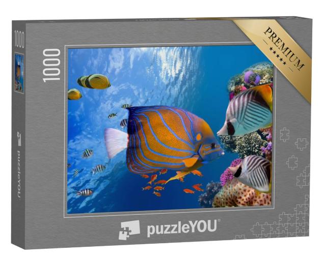 Puzzel 1000 stukjes „Betoverende onderwaterwereld, Rode Zee“