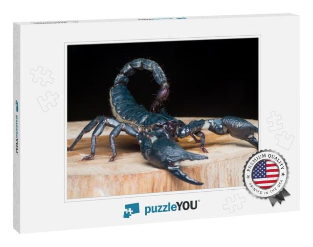 Extreme Macro Close Up the Giant Forest Scorpion Heterome... Jigsaw Puzzle