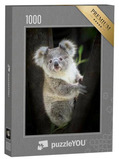 Puzzel 1000 stukjes „Koala in de dierentuin“