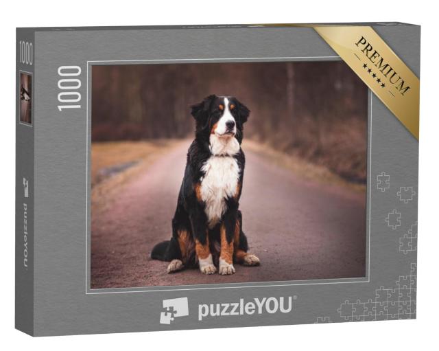 Puzzel 1000 stukjes „Berner Sennenhond op straat“