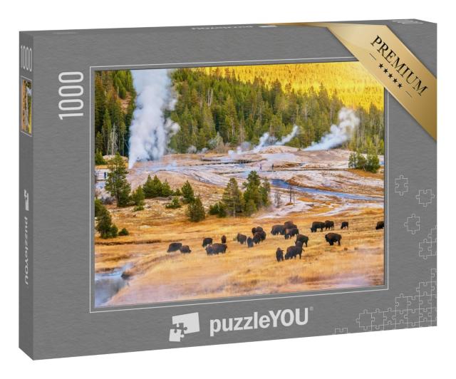 Puzzle „Bisonherde bei Sonnenuntergang im Yellowstone-Nationalpark“
